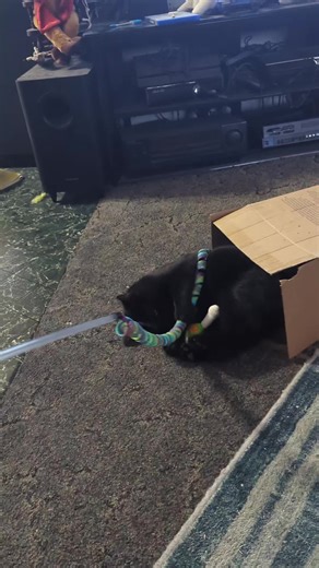 David Campbell (@david.campbell2349)’s videos with original sound - David Campbell