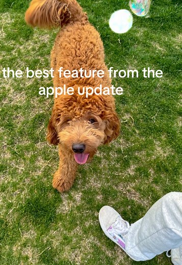 Annika Becker on TikTok