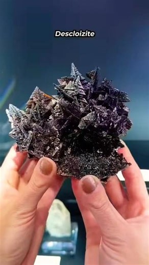 7 Expensive Crystal Collection 😱 #shrots #usa #collection #crystals #viralvideo