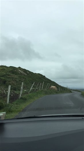 Let’s take a drive through Ireland. 🇮🇪 Driving in Ireland is an adventure of its own. From narrow countryside roads to stunning coastal drives along the Wild Atlantic Way, every turn feels like a scene from a movie. The views are unreal—rolling green hills, stone walls, charming villages, and landscapes that look untouched by time. If you’re planning an Ireland road trip, this is your sign: do it. Just be ready for roundabouts, sheep crossings, and views that make you want to stop every five m