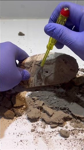 Satisfying Mouse Cleaning Transformation 🖱️✨ | Deep Clean ASMR