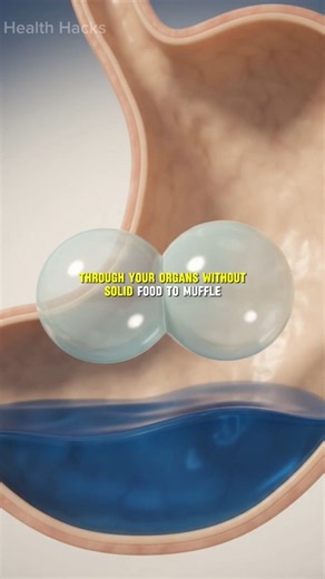 Your Stomach Growl Has Nothing to Do With Hunger