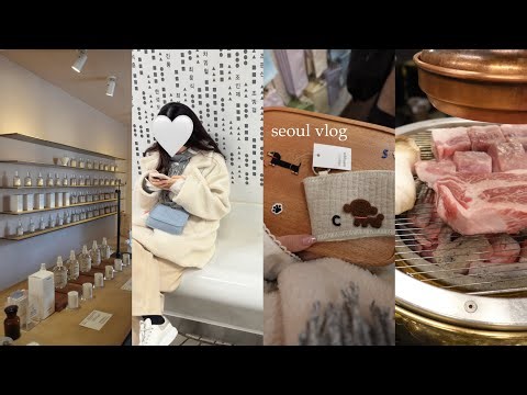 seoul vlog)最新2026.3韓国旅行🇰🇷✈️/ショッピングのおすすめ🛍️漢南洞、安國、西村/オリヤンセール🫧/カンジャンケジャン、サムギョプサル、ごま油🌷
