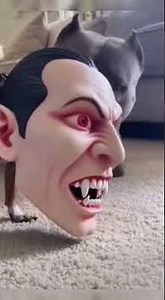 Scary Mask Prank on My Dogs! 🎭🐕 | Hilarious Reactions This Is Why Shorts Go Viral 😅