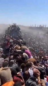 333K views · 4.3K reactions | Gaza. La faim. L’enfer. La mort. Le gouvernement israëlien observe avec du popcorn  C’est d’une malfaisance totale. Et il faut le redire sans hésiter. Aujourd’hui nous assistons au génocide en 4K avec une insensibilité (ou consternation, selon) qui en dit long sur l’état de la civilisation. (lien en commentaire ) Infos & Débats | Mr Mondialisation | Mr Mondialisation | Facebook