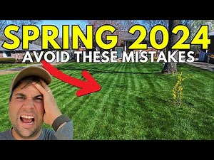 Early Spring Lawn Care: Important Steps