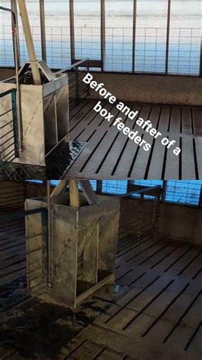 before and after of a box feeder