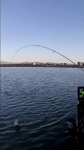 Crappie On New Eagle Claw Meal Ticket Rod!
