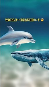 7 Hybrid Animals That Shouldn't Exist — Whale + Dolphin = Wholphin 🧬💀 #animalfacts #sevenmostest