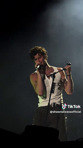 Shawn Mendes Live Music Festival Highlights