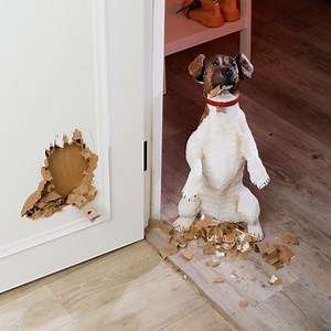 306K views · 384 reactions | Masterful home repair Hacks that everyone needs to know! | 5-Minute Recycle | Facebook