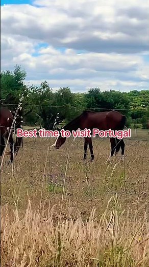 Melhor altura para visitar Portugal #travel