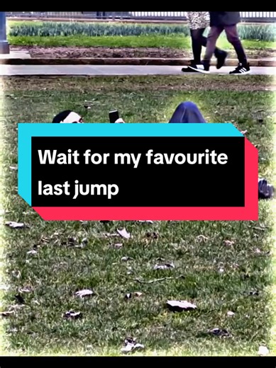 Wait for my favourite last jump😁 #funnyvideos #foryoupage #foryou #viral