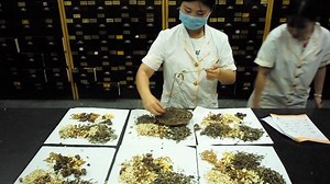 How ancient remedies are changing modern medicine