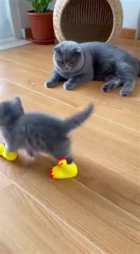 Funny Noise Reactions That Will Make You LOL