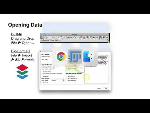 ImageJ/Fiji - How to Open Data