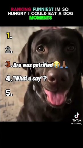 Funniest I’m so hungry i could eat a dog moments ever #ranking #memes #funniest #dog #hungry