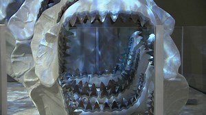 7.7K views · 108 reactions | Forget "Jaws!" This summer it's all about "Megalodon, the largest shark that ever lived." On exhibit now at Sam Noble Museum in Norman. | Discover Oklahoma | Facebook