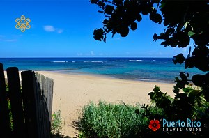 Shacks Beach - Isabela, Puerto Rico - 2024 Beach Guide - Snorkeling / Scuba Diving