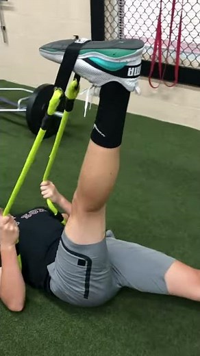 Aaron Mattes AIS Active Isolated Stretching