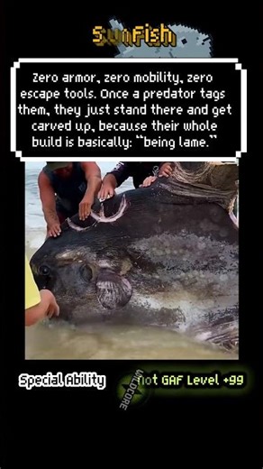 Sunfish Meta #animalfacts #8bit