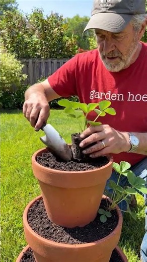 How to Build a Terracotta Strawberry Tower #diydecor #garden #recycledart