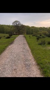 Barney’s one minute adventures part 4 . Barney’s search for the interstellar object | Stephen Kelleher