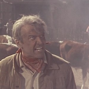 639K views · 17K reactions | The Lone Cowboy symbolized ideas of freedom and self-reliance, and helped to ingrain these values into the American consciousness. The films of Anthony Mann and James Stewart explored this. See THE MAN FROM LARAMIE tonight at 8pm ET as part of our spotlight, Defining Frontier. | Turner Classic Movies: TCM | Facebook