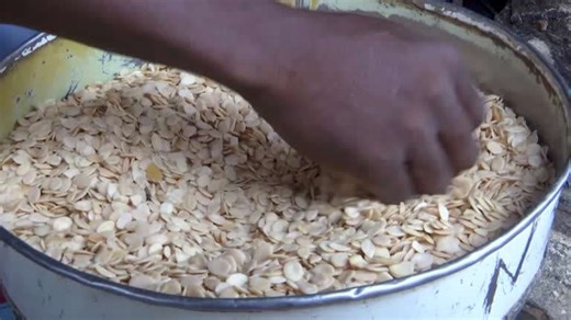 Could Nigerian seeds become a culinary staple for space travel?