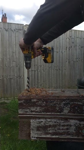 DCD796 ⚡ Small drill, big results. PowerStack vs old hardwood. Would you trust it? #tools #DeWalt 💪