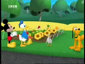Mickey egér játszótere Donald kacsái