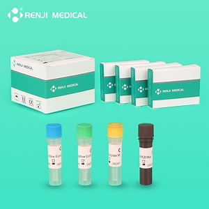 [Hot Item] Virus DNA and Rna Isolation Extraction Kit Nucleic Acid Purification Reagent Rt-PCR Real-Time Detection Kit