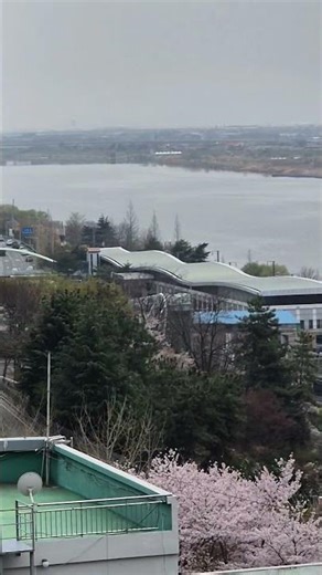 서울반지하전세보다값싼,부산,목포행새말지나감~
