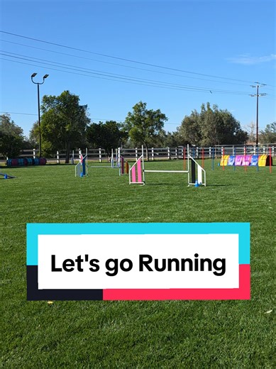 Excited to sneak over to Cali for a short agility vacation with the young kids #dogagility #agilitydog #dogsports