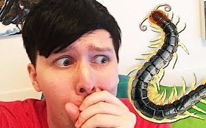 Phil Lester的直播 | 2017-6-18