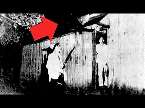 Creatures on the Roof