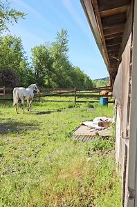 Endo heard the baby running around. He must've thought it was another mini friend. | Endo the Blind