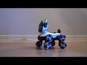 Watch This RC Robot Dog Do Impossible Things