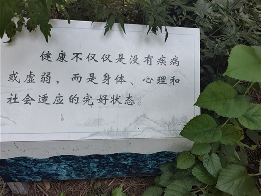 健康不仅仅是没有疾病或虚弱，而是身体、心理和社会适应的完好状态。