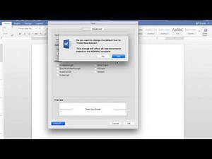 Setting Font Type and Size Word in 2016 for Mac