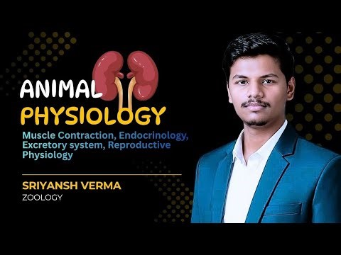 Animal physiology muscle contraction skeletal muscle contraction and regulation
