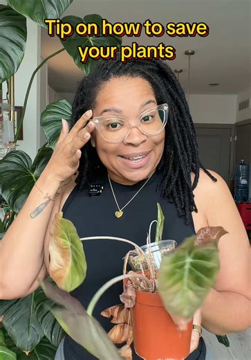 Essential Tips for Caring for Your Plants