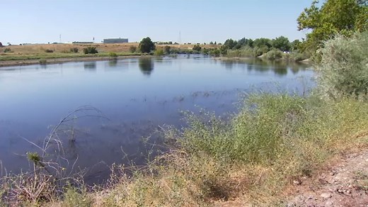 Sycamore Island to now be open 7 days a week