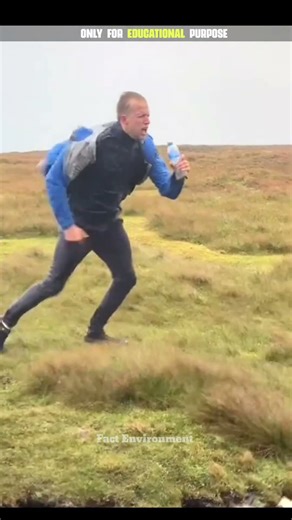 Heavy winds blow here । #shrots