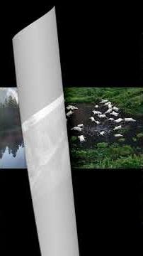 Africa’s Deadliest Lake: The Lake Nyos Disaster Explained