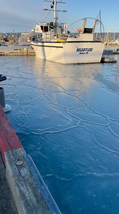 #frozen #HomerHarbor #frozenharbor #Alaska #boats #frozenboats #homeralaska | Tim Hatfield
