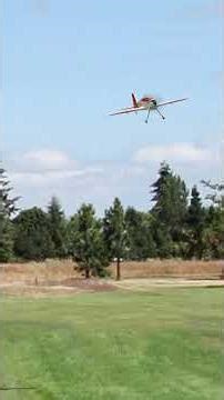 RealFlight Evolution Futaba Sky Leaf 55 4k60 fps