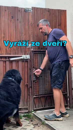 Jak naučit psa procházet dveřmi!!#brno #hotelpropsy #blansko #pes #dogs #dogtrainer #vycvikpsa#trenérpsů | Dog Coach Valentin
