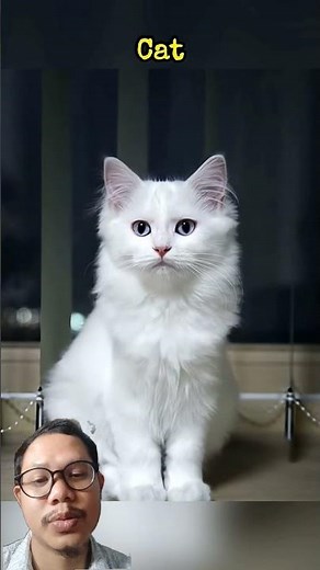 Cute Animals Vomiting Reaction Adorable #animals #shorts