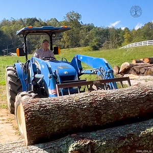 Making LUMBER From Fallen Trees | Sheraton Park Farms